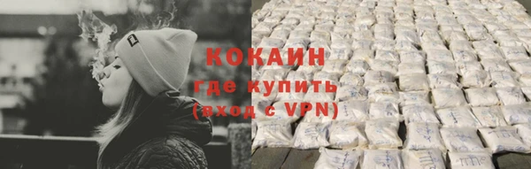 шишки Армянск