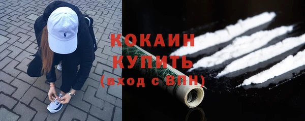 шишки Армянск