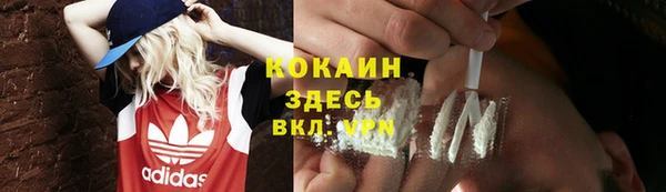 шишки Армянск