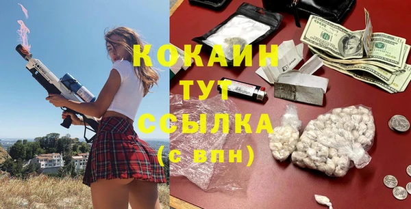 шишки Лагань