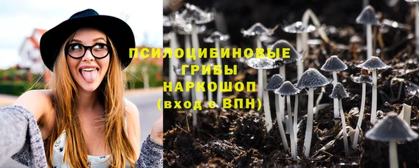 дмт Аркадак