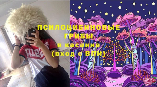 дмт Аркадак