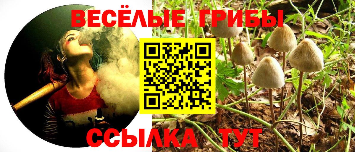 Бирск  Галлюциногенные грибы Psilocybine cubensis  Галлюциногенные грибы Psilocybine cubensis  Вход с VPN 